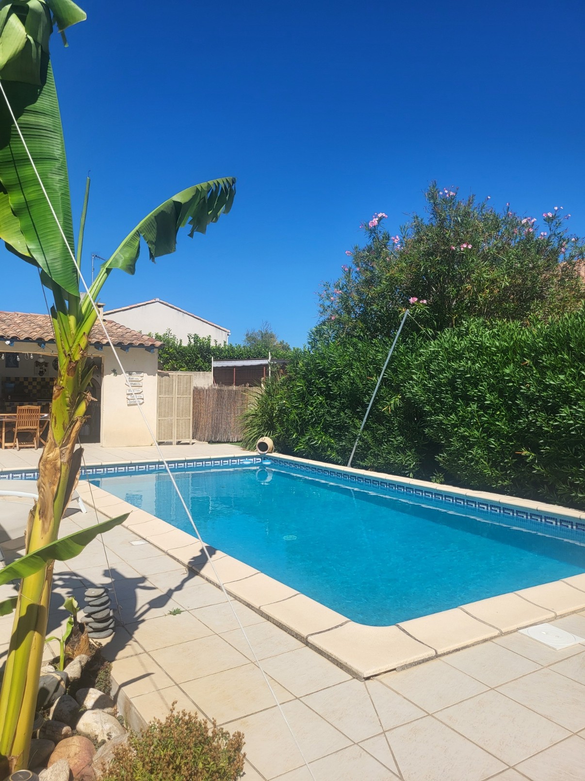 Rental Piscine between individuals (34)