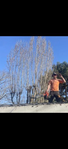 Service jardinage