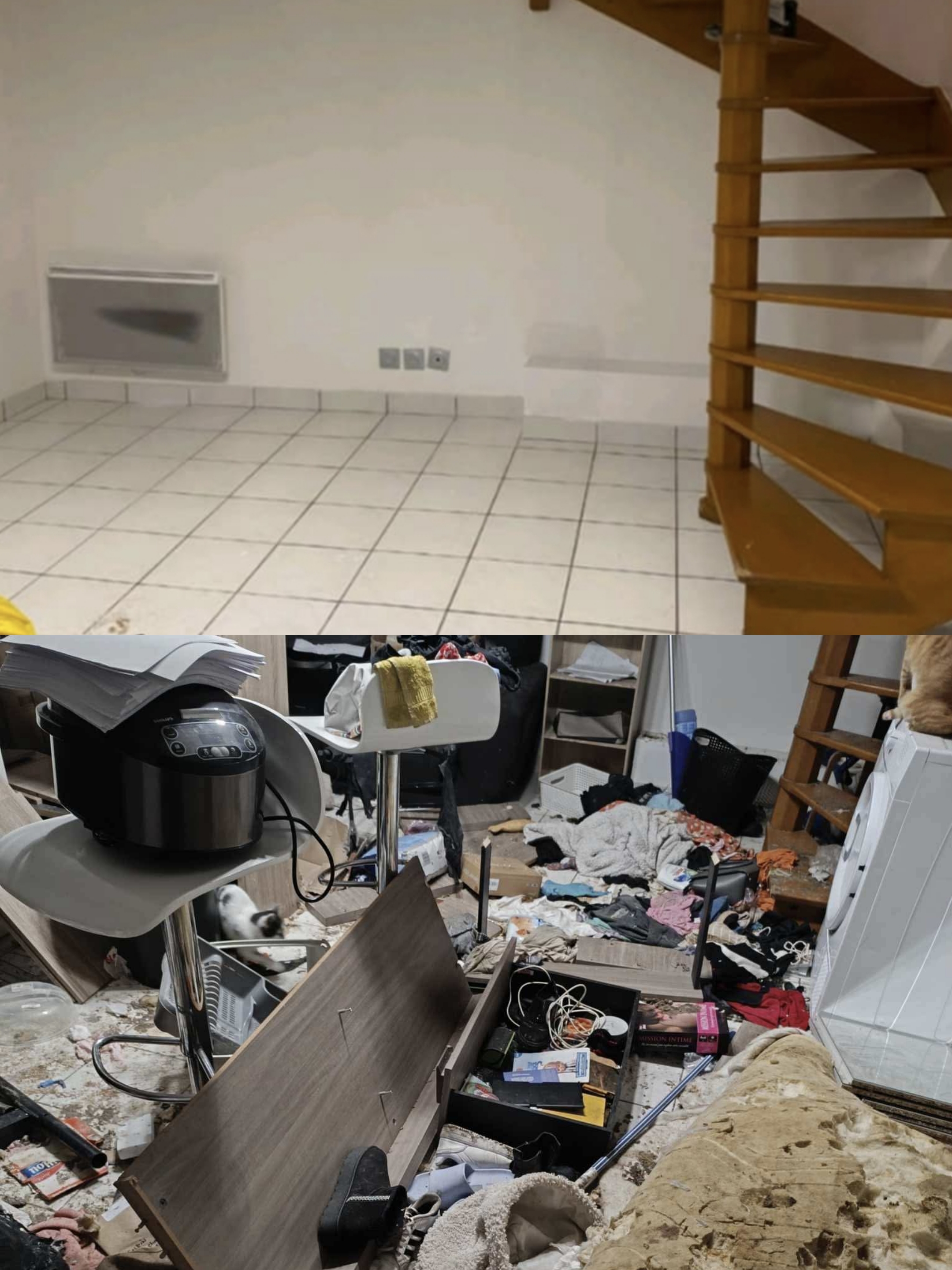 Service debarras entre particuliers (49)