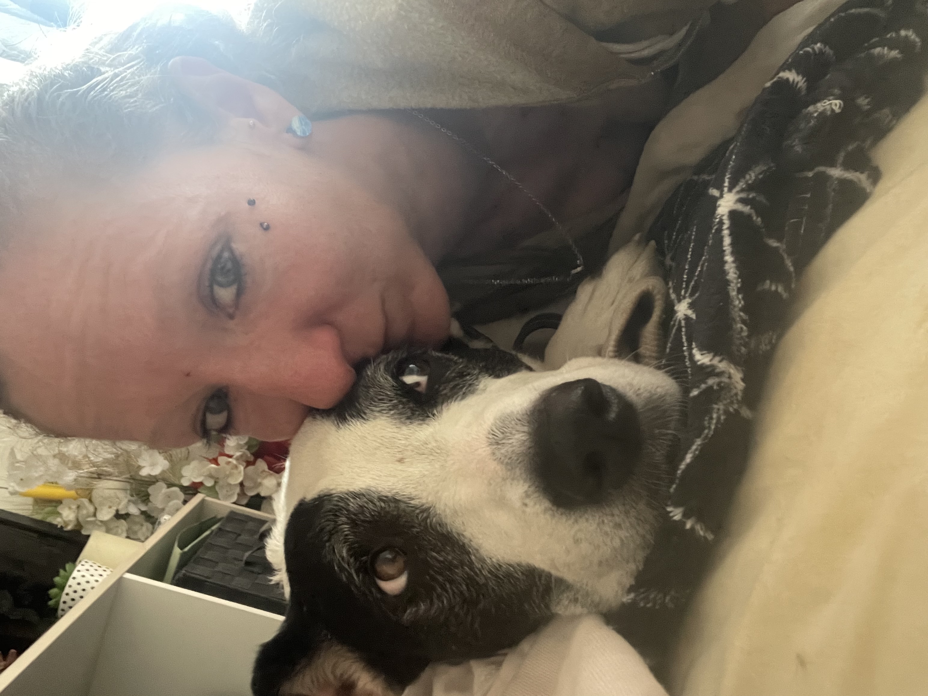 Service Garde animaux between individuals (83)