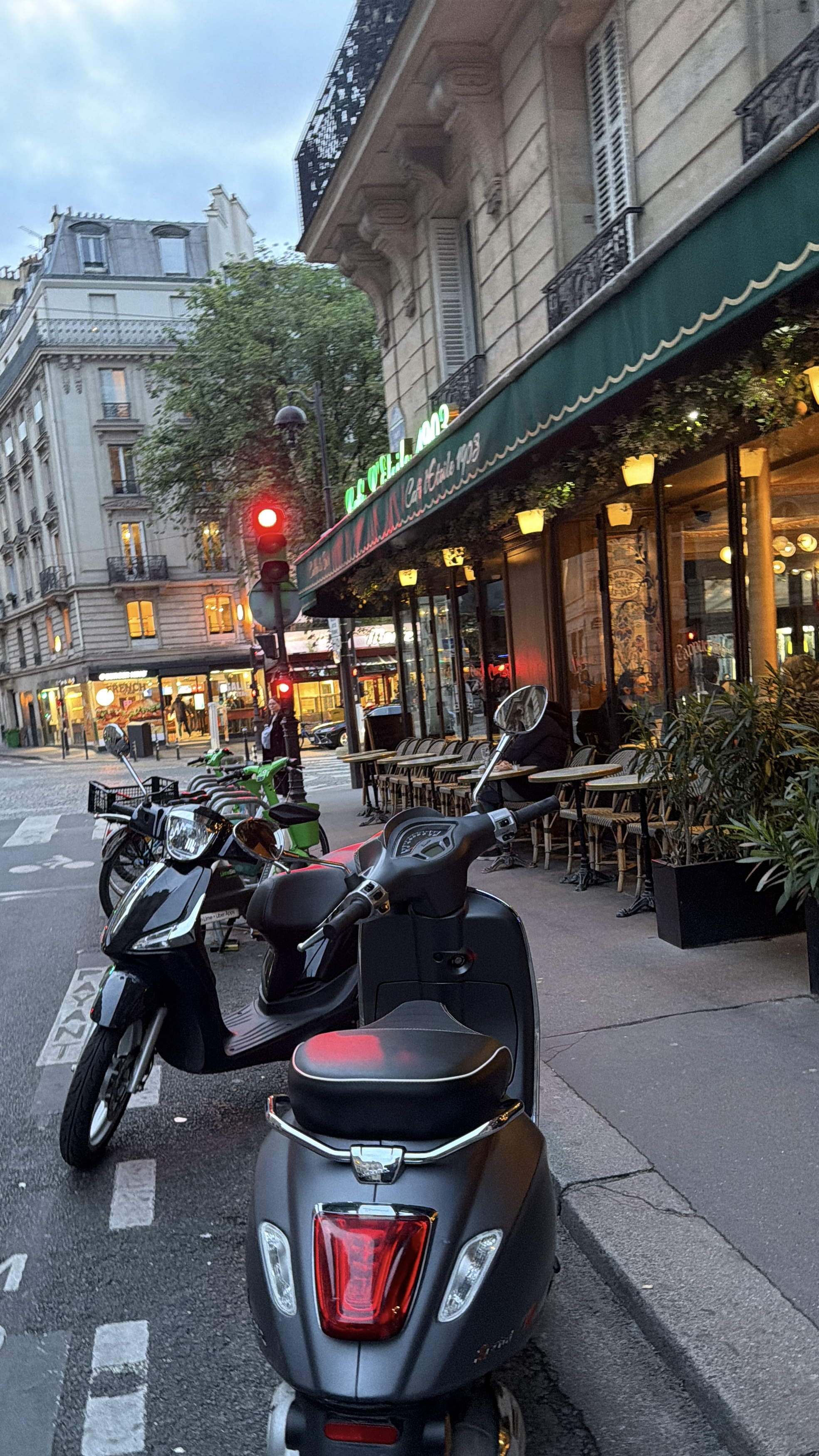 Rental Scooter between individuals (75)