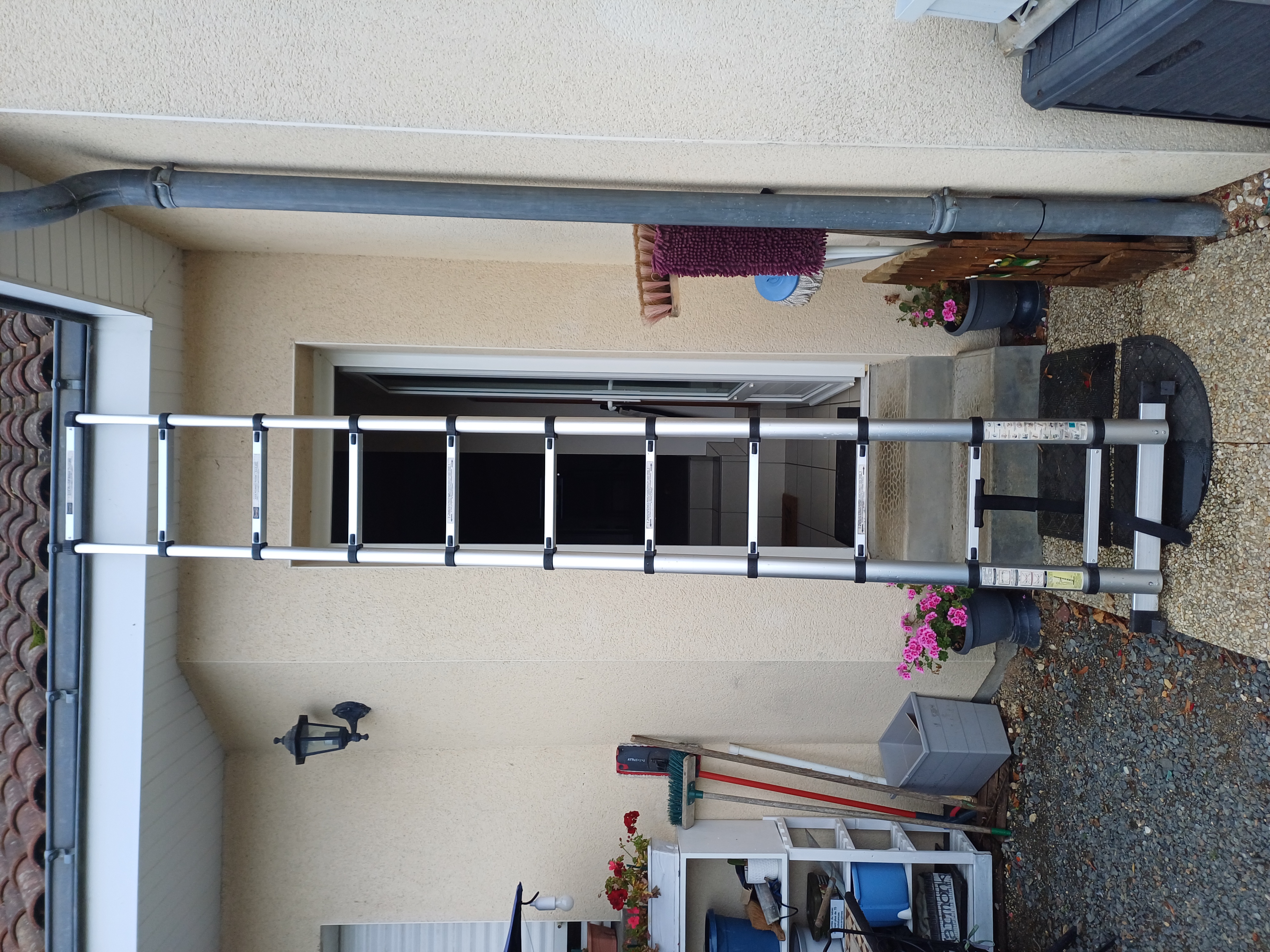 Rental Echelle between individuals (49)