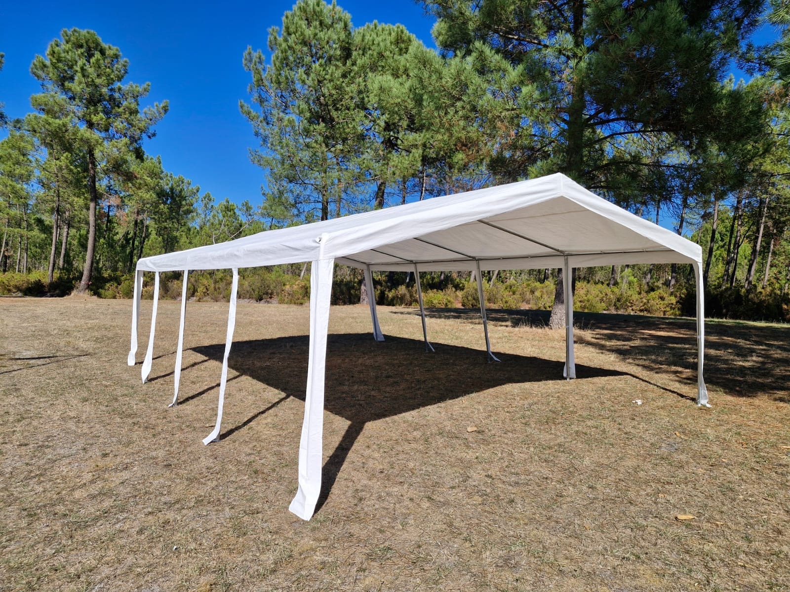 Location tente reception entre particuliers (33)