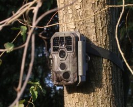 Location camera