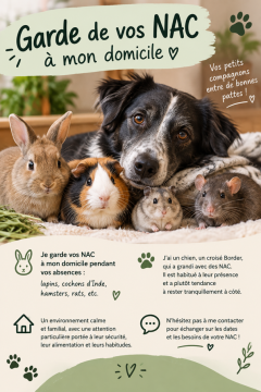 Service garde animaux