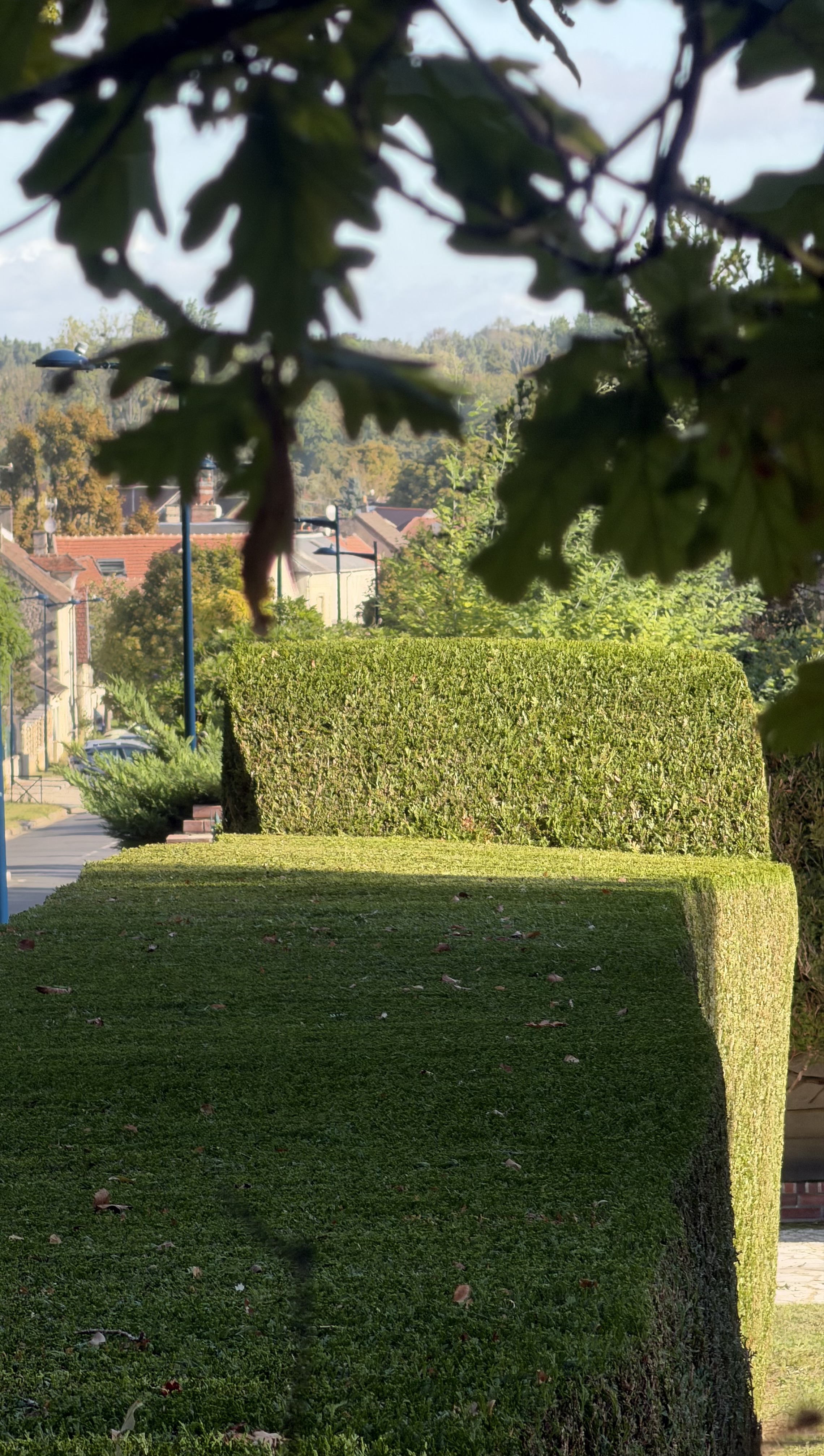 Service entretien jardin entre particuliers (60)