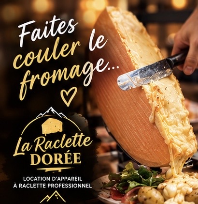  appareil a raclette entre particuliers (33)