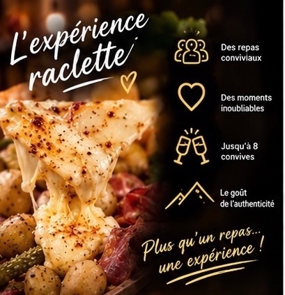  appareil a raclette entre particuliers (33)