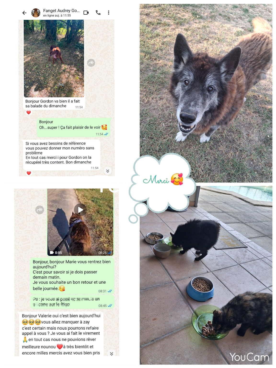 Service chien entre particuliers (38)
