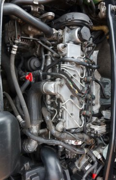 Service entretien espace vert