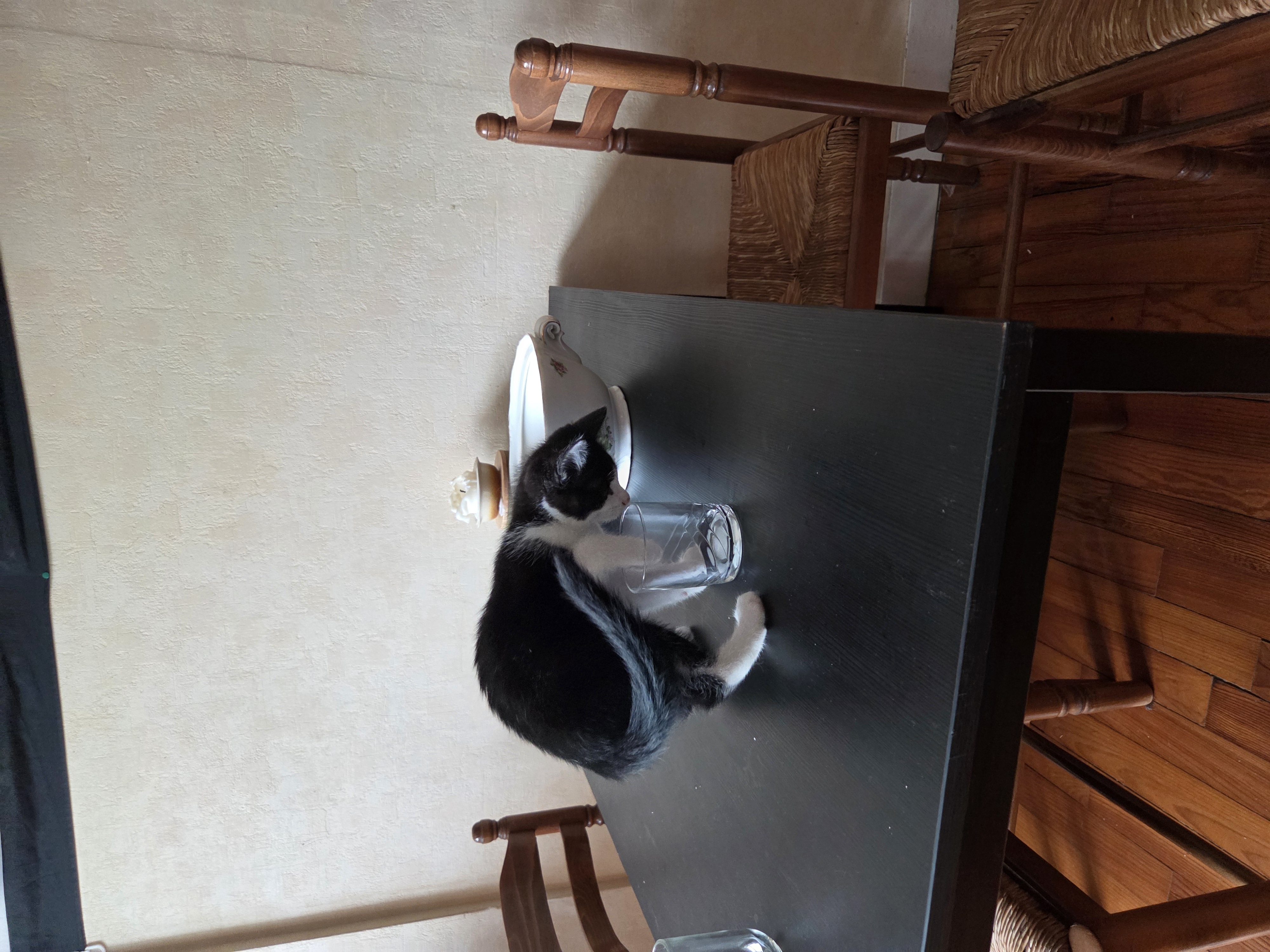 Service service a personne entre particuliers (29)