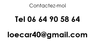 Service Aide personne between individuals (40)