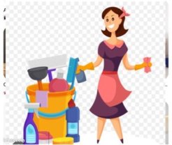 Service aide menagere