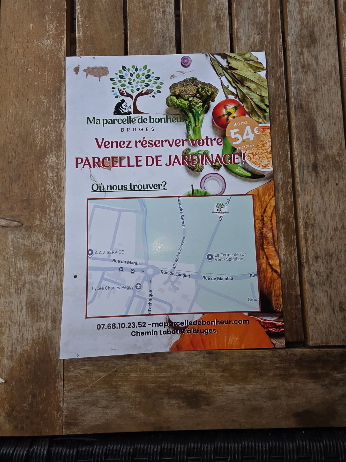Rental Jardin potager between individuals (33)