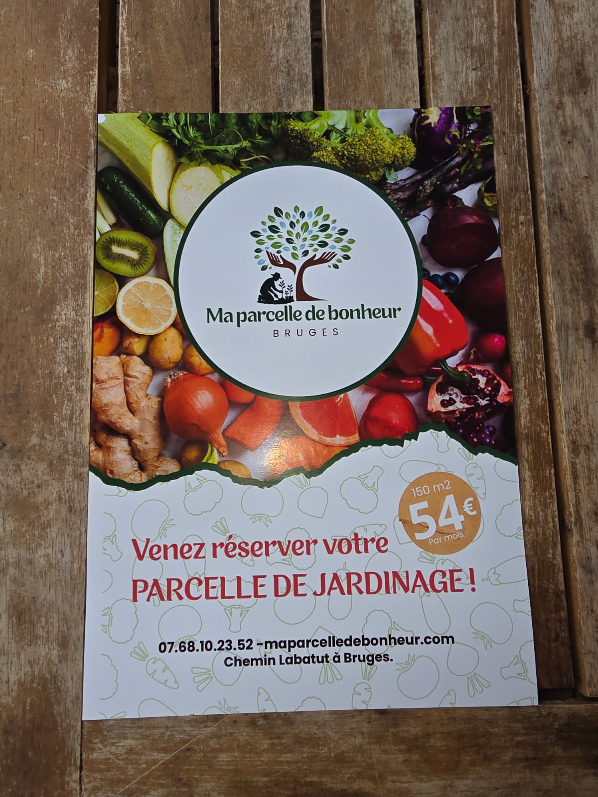Rental Jardin potager between individuals (33)