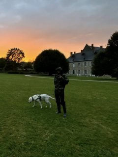 Une promenade, le bien de votre chien !