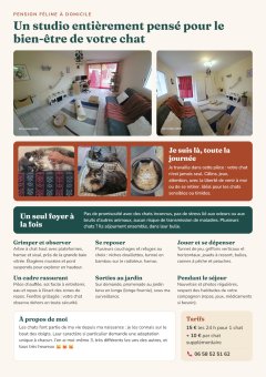 Pension féline&visites à domicile_Chats