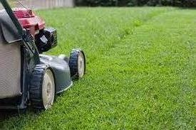 Service tonte de pelouse 29 entre particuliers