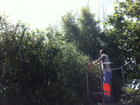 Service : paysagiste Service : paysagiste