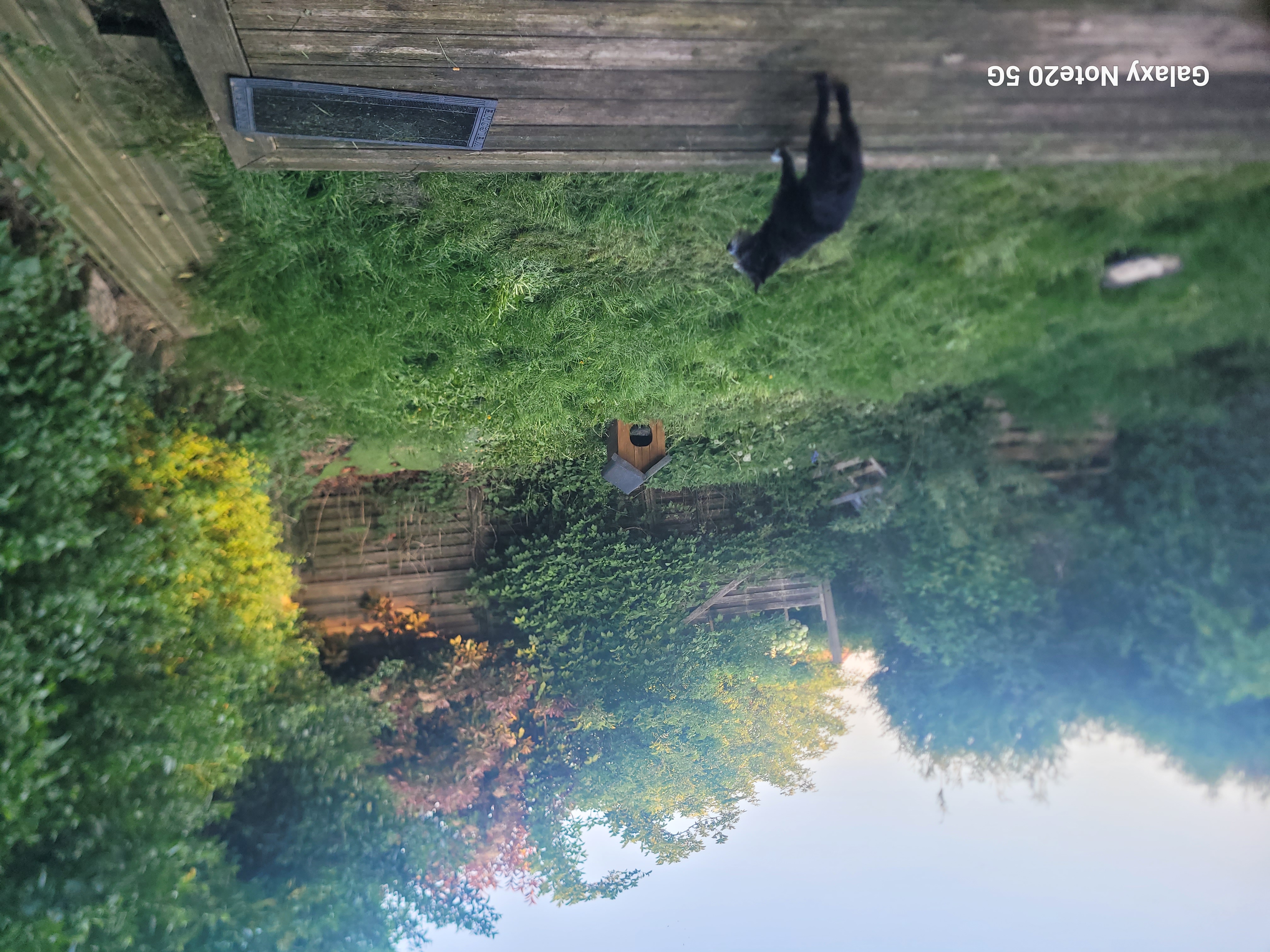 Service entretien jardin 59 entre particuliers
