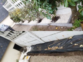 Service : entretien jardin