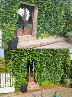 Service : entretien jardin Service : entretien jardin