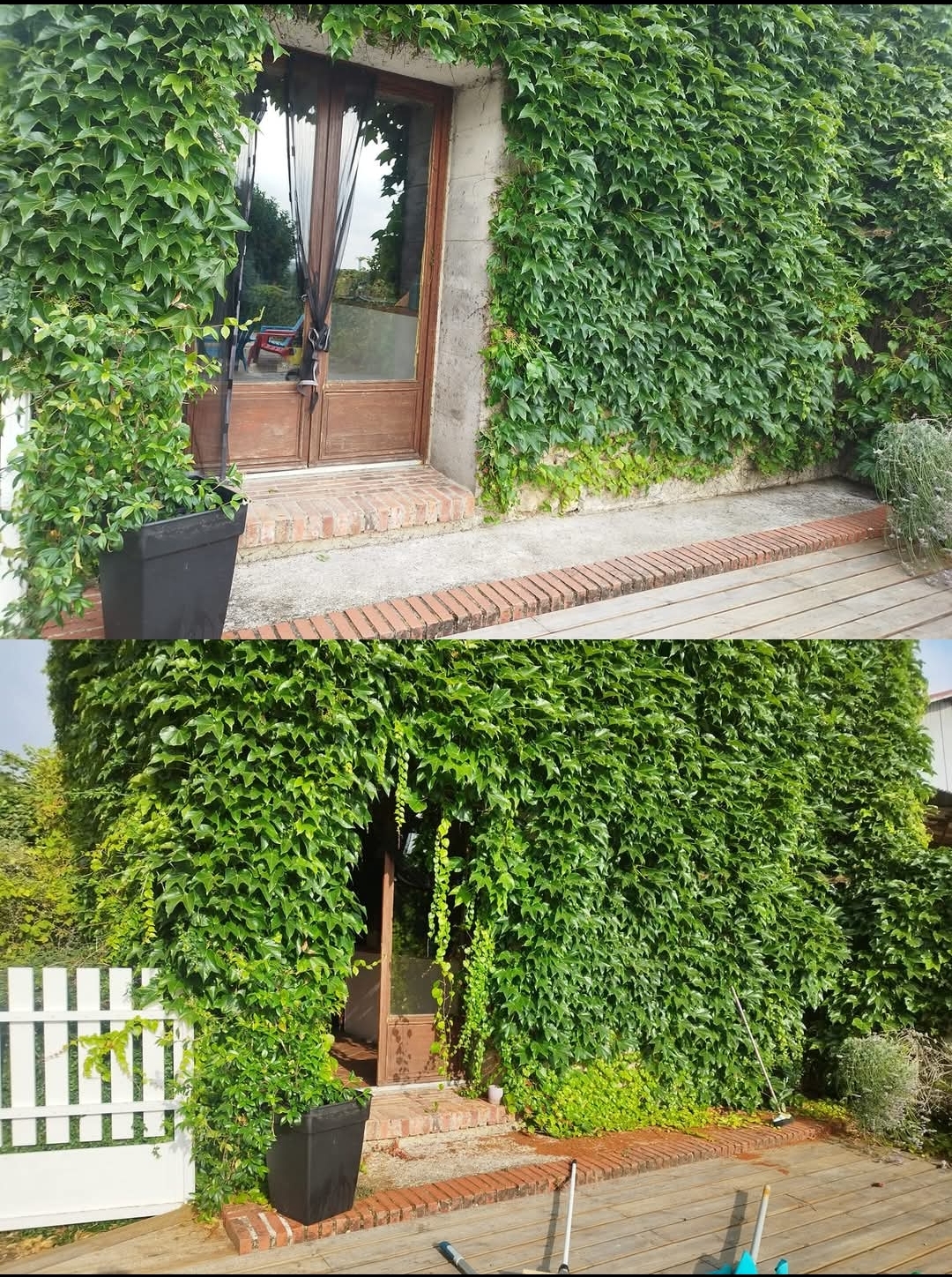 Service entretien jardin 35 entre particuliers