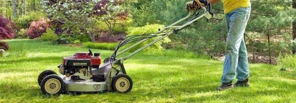 Service tonte de pelouse 02 entre particuliers