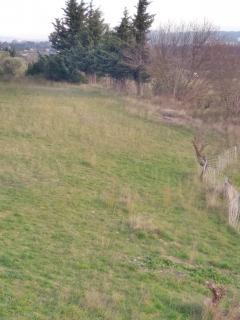 Louer le jardin