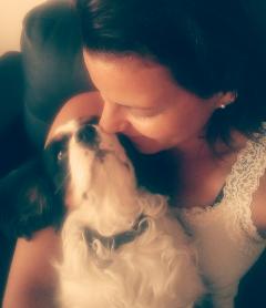 Service : garde animaux Service : garde animaux