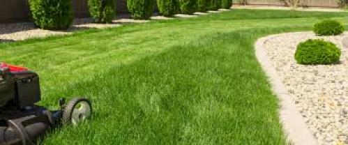 Service : tonte de pelouse Service : tonte de pelouse