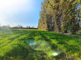 Location : jardin potager Location : jardin potager