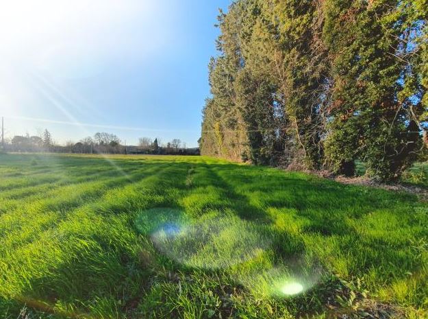 Location jardin potager 84 entre particuliers
