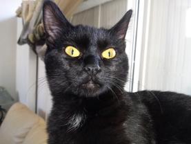 Service : chat Service : chat