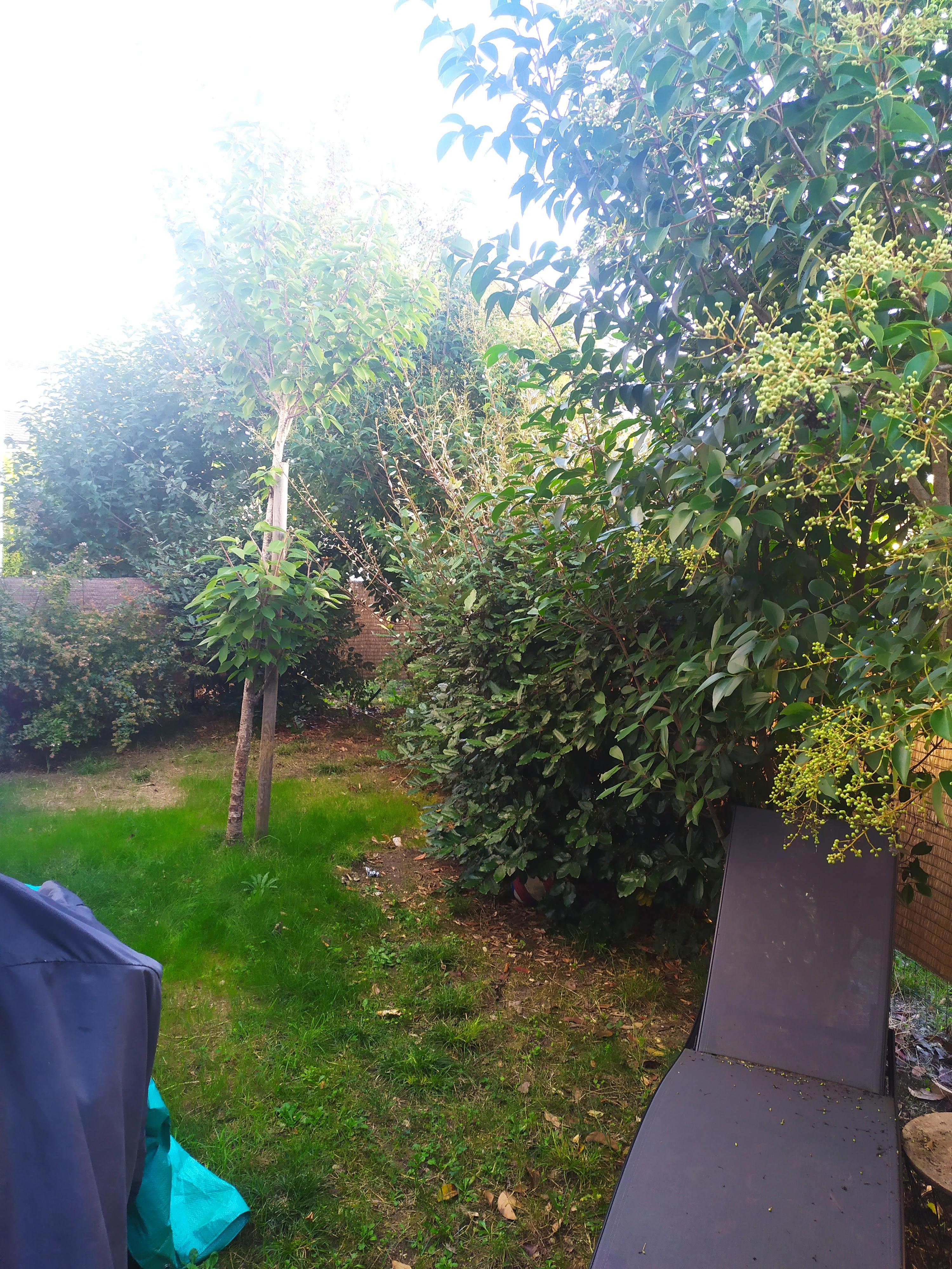 Service entretien jardin 33 entre particuliers