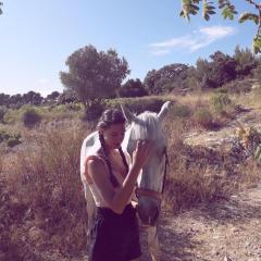 Service : garde animaux Service : garde animaux