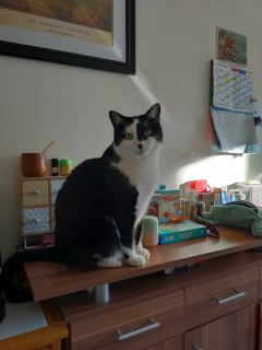 Service : chat Service : chat