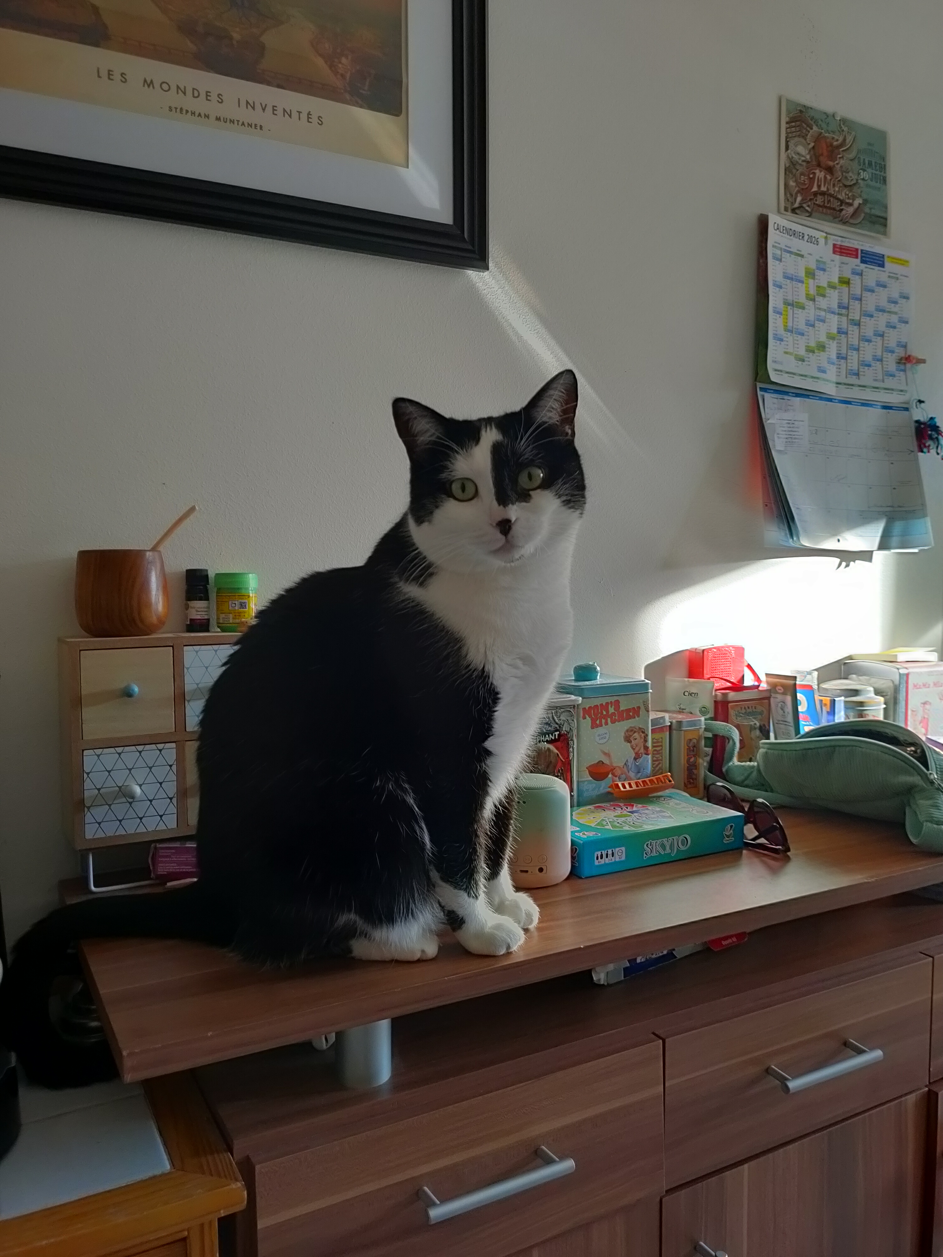 Service chat 73 entre particuliers