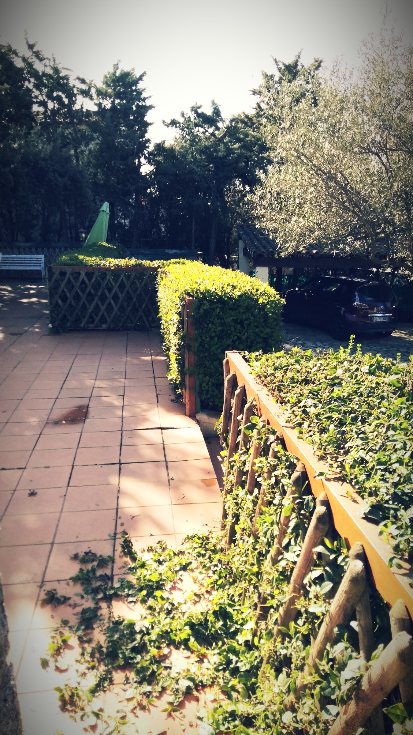 Service entretien jardin 30 entre particuliers