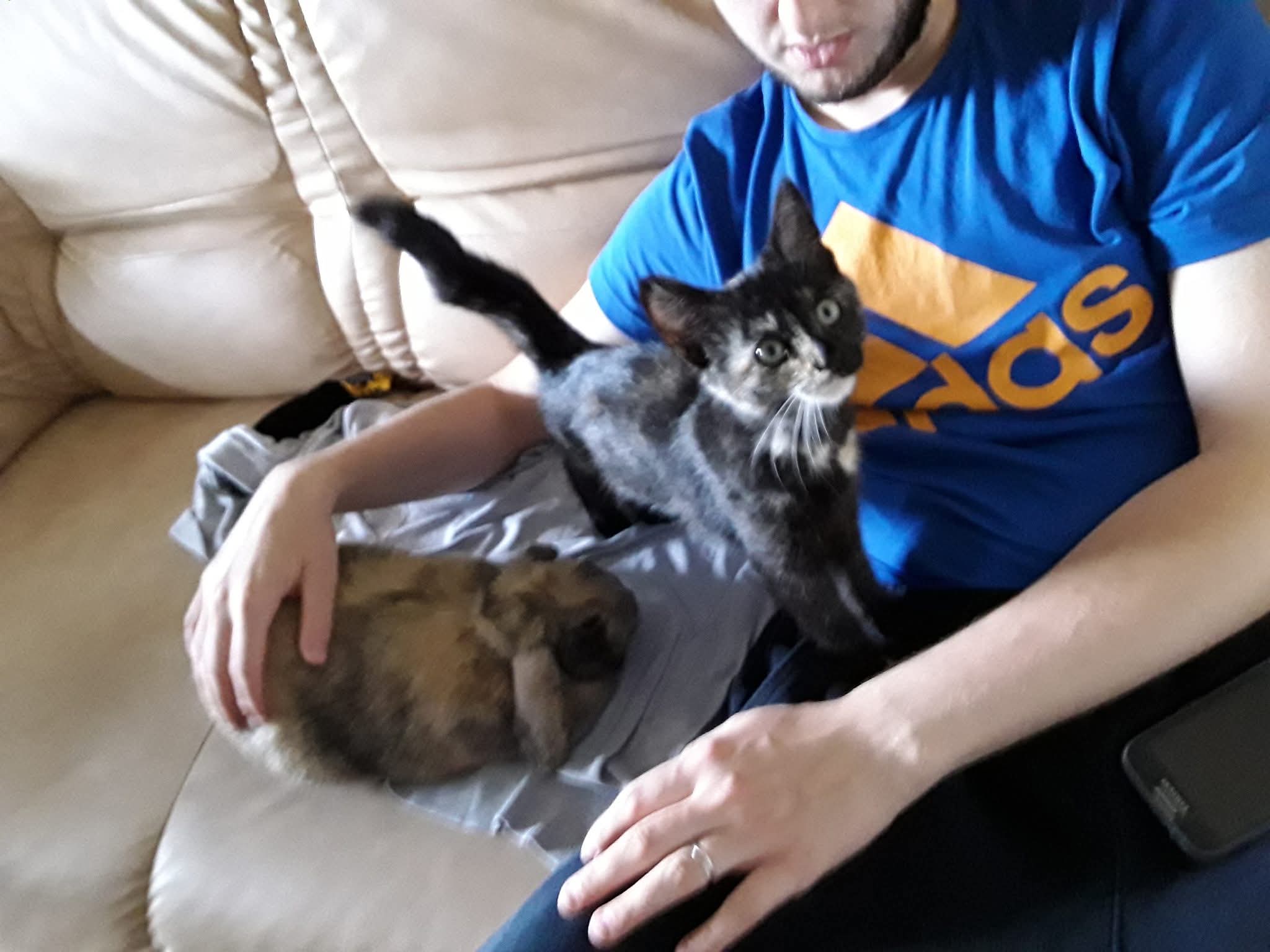 Service garde animaux entre particuliers (14)