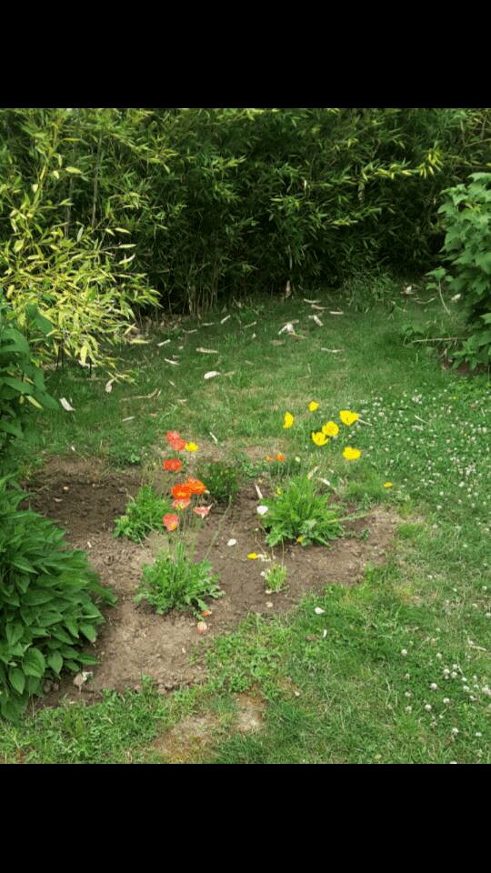 Location chambre meublee 62 entre particuliers