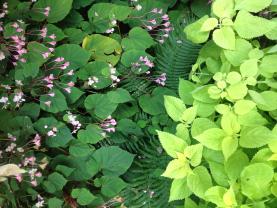 Demander ce jardinier