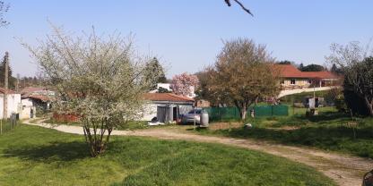 Service : garde animaux Service : garde animaux