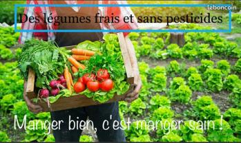 Location jardin potager entre particuliers