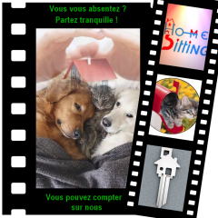 Service garde animaux entre particuliers