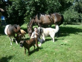 Demander ce petsitter