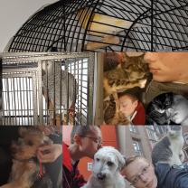 Service : garde animaux Service : garde animaux