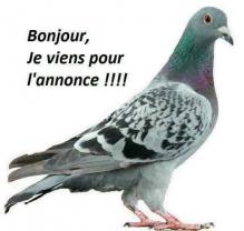 Demander cette nounou