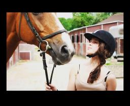 Service : garde animaux Service : garde animaux