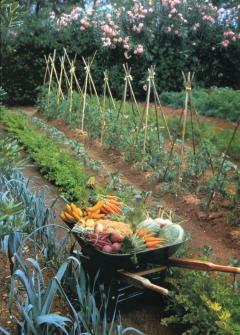 Location jardin potager entre particuliers